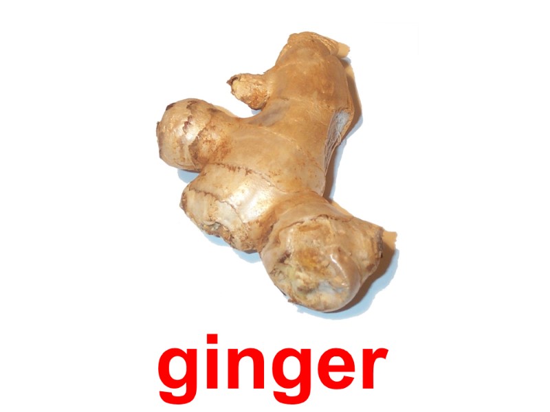 ginger